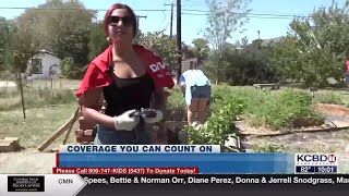 TTU Ag students give back to Lubbock [upl. by Haldan405]