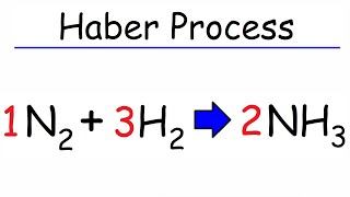 Le Chateliers Principle grade 12 Introduction [upl. by Brosine]