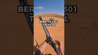 Beretta 1301 VS Watermelon shorts [upl. by Anoval]