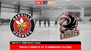 20230922 vs Flamborough Falcons [upl. by Ednutabab]