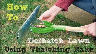 How to Dethatch Lawn Using a Thatching Rake [upl. by Ecnaled]