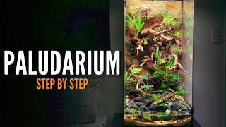 How to build a Paludarium Vivarium [upl. by Menell]