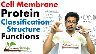 Plasma membrane proteins structure and function [upl. by Wenn464]