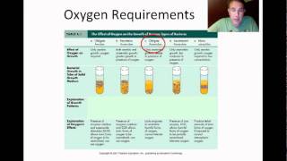 Microbial Growth Part 1 [upl. by Netty575]