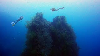 Buceo en el Torreón de Malpique Fuencaliente La Palma [upl. by Remy]