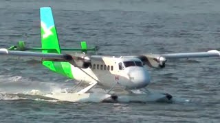 Twin Otter Seaplane Landing [upl. by Leroy]