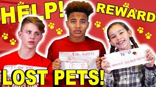 HELP LOST PETS REWARD IF FOUND [upl. by Valentijn222]