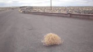 Tumbleweed in Slow Motion  P4060382 [upl. by Alverson]