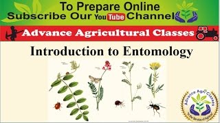 Introduction to Entomology part  1 HindiEnglish Agricultural Field Officer IBPS [upl. by Petit]