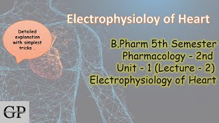 BPharm 5th Semester Pharmacology Unit  1 Lecture2  Electrophysiology of heart [upl. by Lais]