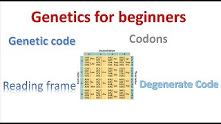 Genetics for beginners Genetic Code and codons [upl. by Eddi]