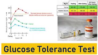 Glucose Tolerance Test OGTT IGTT Glucose Tolerance Curve Typical Values and the Impact [upl. by Brook]