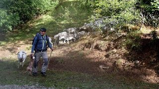 20170917  Retour destives en vallée de Siguer [upl. by Ahsenyt918]