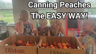 Canning Peaches Made Simple NO Added SUGAR [upl. by Serles]