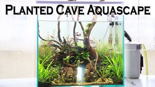 Planted Cave Aquascape Aquarium Setup [upl. by Boys]