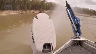 Murray Cod fishing Echuca area [upl. by Atinra691]