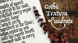 Gothic Textura Quadrata medieval calligraphy tutorial  Sunday Scriptorium Ep 2 [upl. by Ahsercel]