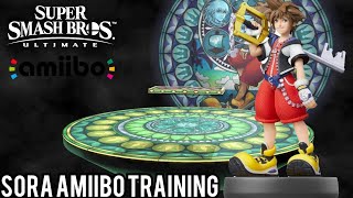 Sora Amiibo Training  Super Smash Bros Ultimate [upl. by Lilian]