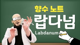 랍다넘Labdanum 향수노트에 대해서  쎈스쟁이 향기연구소 [upl. by Sylvan]