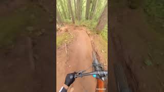 Whistler loamy mtb downhill whistler loam [upl. by Baynebridge603]