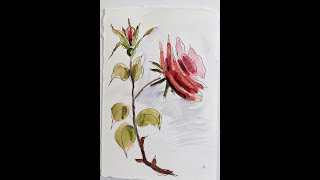 How I do Pen and Watercolor Spring Flowers Beginners [upl. by Eintruok]