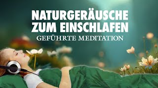 Einschlafen mit Naturgeräuschen  Geführte Meditation zum Einschlafen [upl. by Ahsiekal455]