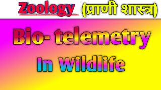 biotelemetry in Wildlife हिंदी नोट्स के साथ Zoology question biology [upl. by Huppert]