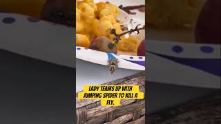 Lady teams up with jumping spider to kill a fly [upl. by Ehpotsirhc]