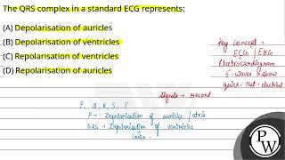 The QRS complex in a standard ECG represents [upl. by Lrak]