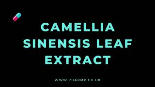 How to pronounce Camellia sinensis leaf extract [upl. by Squire619]