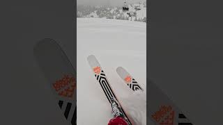 UNREAL POWDER SKIING  SOME OF THE DEEPEST POWDER OF MY LIFE [upl. by Foah672]