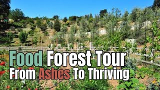 Fire Scorched Food Forest Tour From Ashes to Thriving [upl. by Lebasiram33]