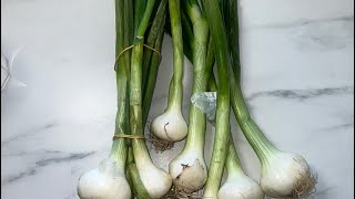 Comment conserver vos bottes d’oignons blancs  How to store your bunches of white onions rapide [upl. by Philipps297]