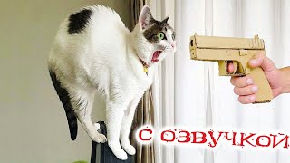 Приколы с котами САМЫЕ СМЕШНЫЕ ЖИВОТНЫЕ С ОЗВУЧКОЙ  Смешные коты и собаки 2023 [upl. by Ynot]