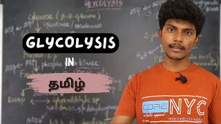 Glycolysis pathway lecture in tamil  carbohydrate metabolism  MrBiochemistry [upl. by Nahpets466]