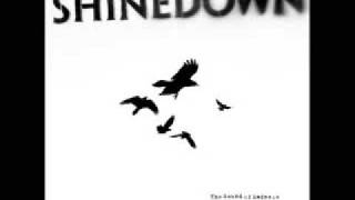 Shinedown  Sound Of Madness With Lyrics [upl. by Nahtaoj679]