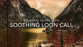 Relaxing Sleep music  With Soothing LOON call  8 Hours 3D Sound [upl. by Willey478]