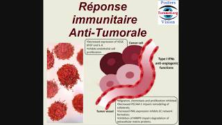 Immunité Anti tumorale Mécanisme Réactionnel des Réponses immunitaires AntiTumorale Poumon [upl. by Ymrej]