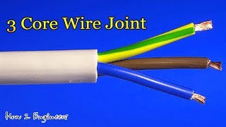 2 Pin Plug Connection with 3 Core Wire  3 Wire Connection with 2 pin plug  Technical Work [upl. by Anomar]