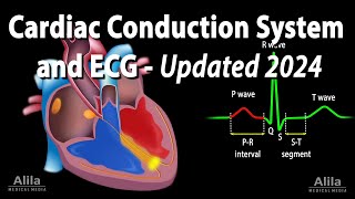 Cardiac Conduction System and Understanding ECGEKG  Updated 2024 Animation [upl. by Airotciv]