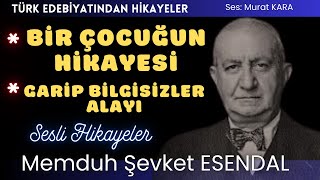 quotBir Çocuğun Hikayesiquot quotGarip Bilgisizler Alayıquot Memduh Şevket Esendal Hikayeleri [upl. by Erdne958]