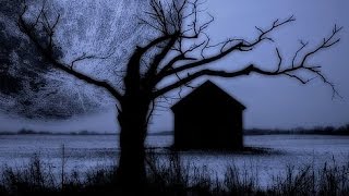 THE HOUSE OF LEAVES  Kevin MacLeod Epic Horror Music  1 Hour [upl. by Sheley]