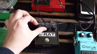 Vintage Proco Rat Whiteface 1984 LM308N Demo [upl. by Kaylyn60]