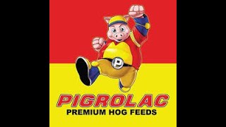 Pigrolac Premium Hog Feeds Against Heat Stress by Kuya Kim [upl. by Eiramanad723]