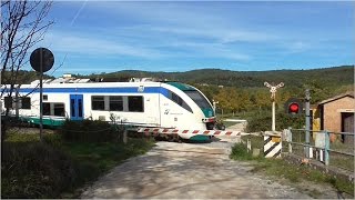 Passaggio a Livello Selvepiana Passage a niveau Level Crossing Bahnübergang Spoorwegovergang [upl. by Xylina]