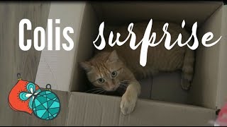 ❥ VLOGMAS  COLIS SURPRISE VLOG FAMILLE 693  ♥ [upl. by Einej]