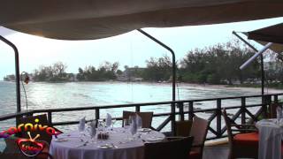 Barbados Champers Restaurant  carnivallivetv [upl. by Neelyk]