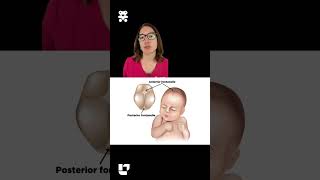 Infant Fontanelles Pediatrics SHORT  LevelUpRN [upl. by Lashar]