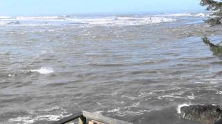 Tsunami Surge at Smith River Mouth 031111mov [upl. by Tybalt]