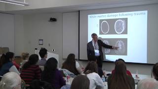 Brain Injuries Deeper Than You Think  Dr Andrew Baker [upl. by Winfrid]